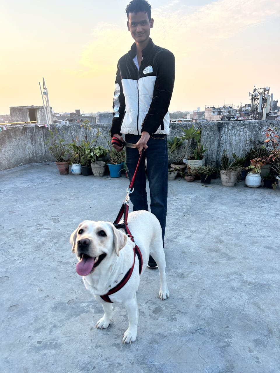 Daily dog walking service in Greater Kailash