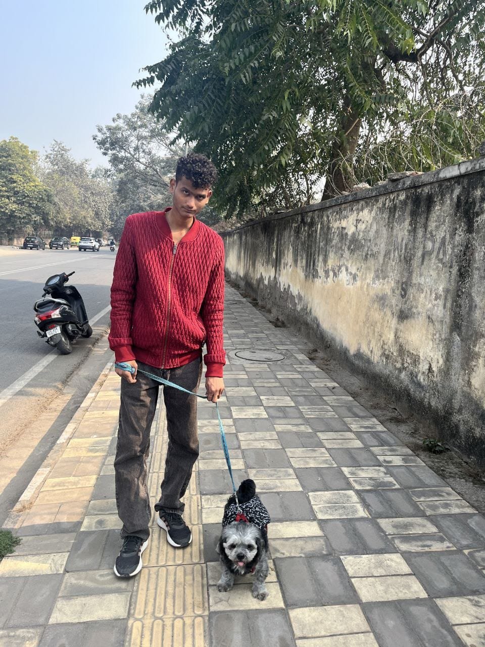 Pet care services in South Delhi
